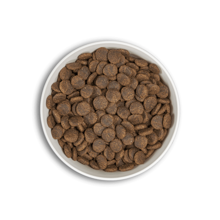 Era Dog Centurion Grain Free de Salmón y Venado raza pequeña