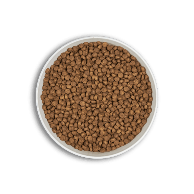 Era Dog Millennium Pollo y Faisán con arroz integral Med/Maxi