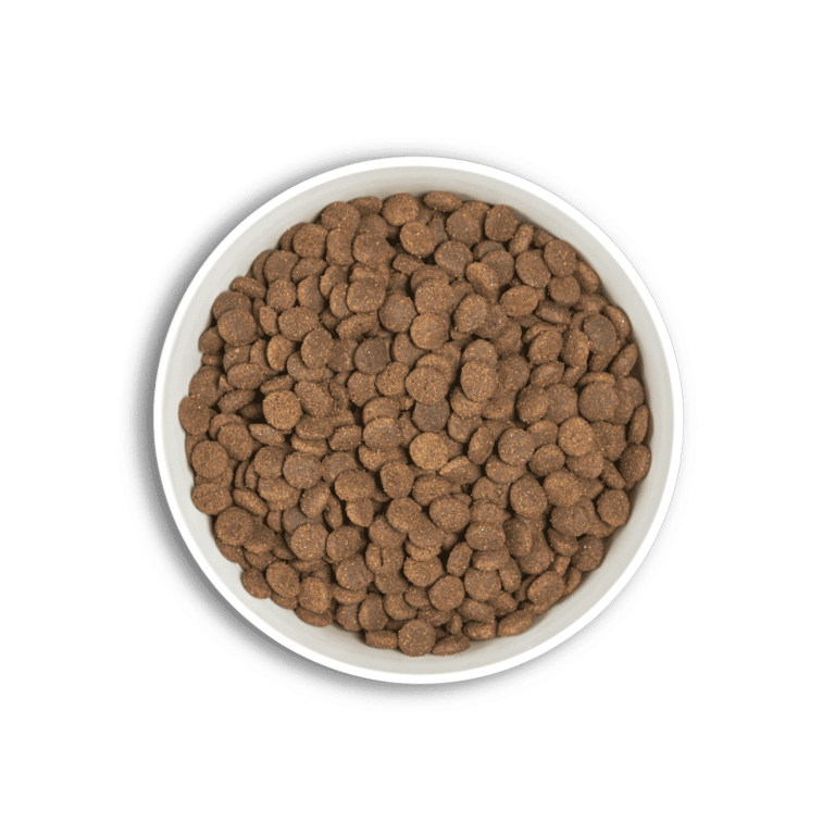 Era Dog Millennium Puppy Pollo y Pavo con arroz integral