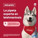 Advantix Pipeta para Perro