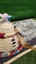 Rikku Toy Cat alfombra felpuda Gris