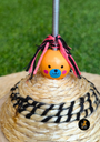 Rikku Toys Cat ODDNI 2.0 con resorte