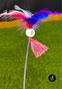 Rikku Toys Cat ODDNI 2.0 con resorte