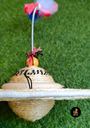 Rikku Toys Cat ODDNI 2.0 con resorte