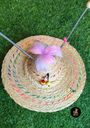 Rikku Toys Cat ODDNI 2.0 con resorte