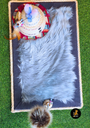 Rikku Toys Cat ALFOMBRA FELPUDA GRIS
