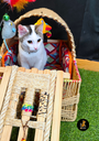 Rikku Toy Cat CAMA INTERACTIVA