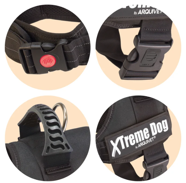 Arquivet arnés xtrem dog negro T-S