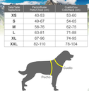 Arquivet arnés xtrem dog negro T-S