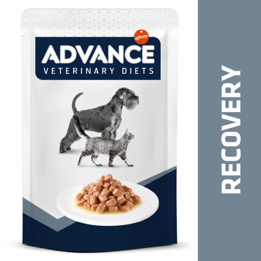 Advance Cat dieta veterinaria Humeda recovery 85g