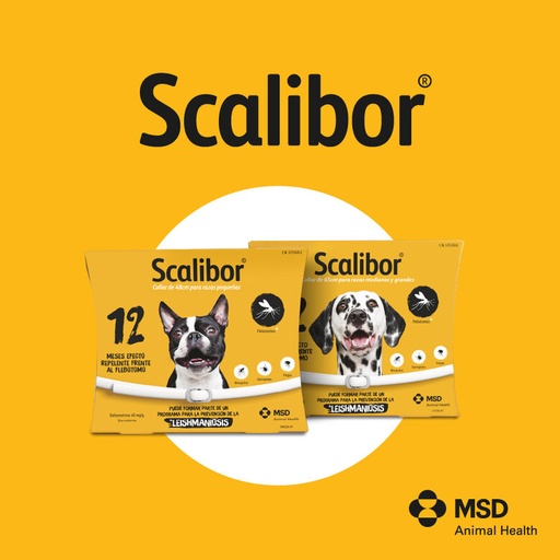 Oferta Scalibor Collar Antiparasitario para Perro