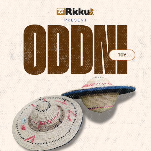 Rikku Toy ODDNI platillo giratorio 24cm